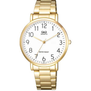 RELOJ Q&Q Q978J004Y HOMBRE